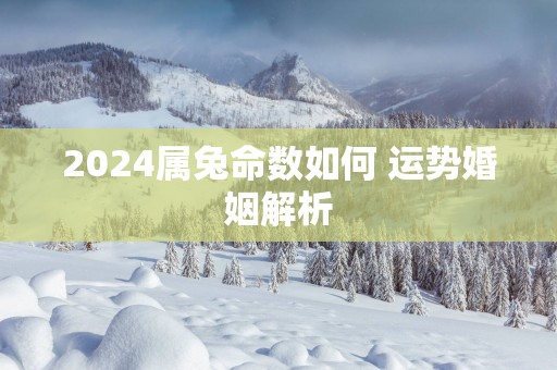 2025属兔命数如何 运势婚姻解析