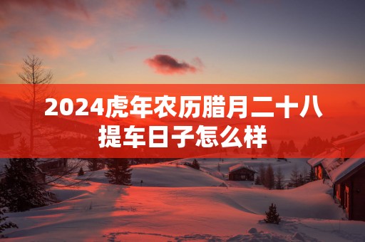 2025蛇年农历腊月二十八提车日子怎么样