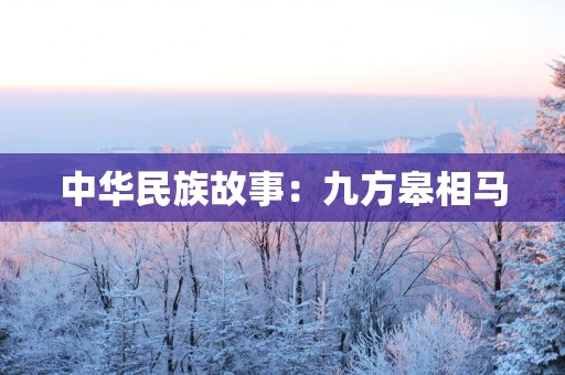 中华民族故事：九方皋相马