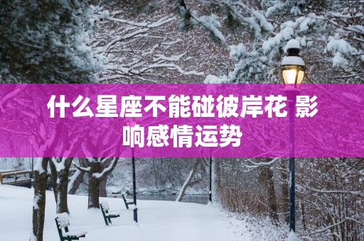 什么星座不能碰彼岸花 影响感情运势