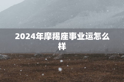 2025年摩羯座事业运怎么样