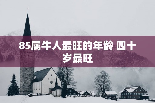 85属牛人最旺的年龄 四十岁最旺