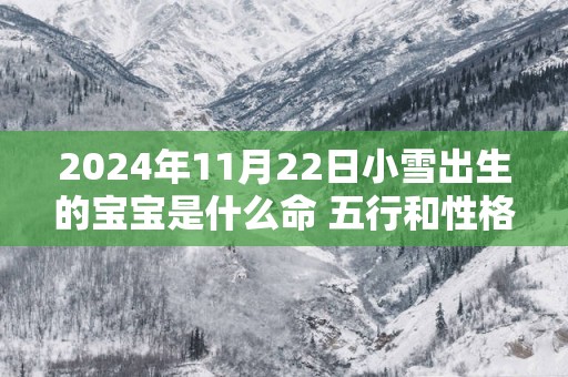 2024年11月22日小雪出生的宝宝是什么命 五行和性格简析