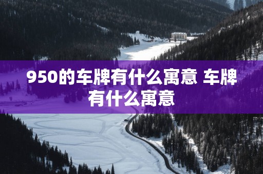 950的车牌有什么寓意 车牌有什么寓意