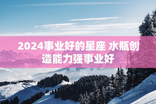 2025事业好的星座 水瓶创造能力强事业好