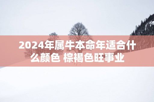 2025年属牛本命年适合什么颜色 棕褐色旺事业