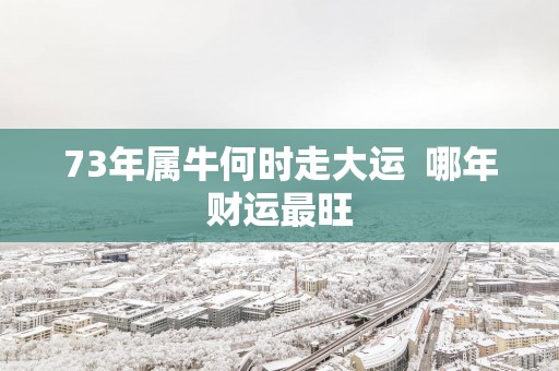 73年属牛何时走大运  哪年财运最旺