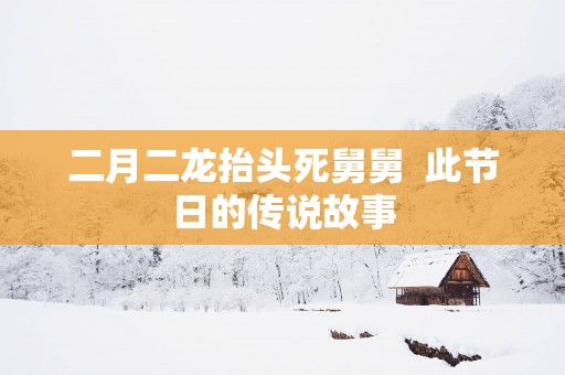 二月二龙抬头死舅舅  此节日的传说故事