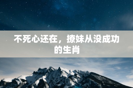 不死心还在，撩妹从没成功的生肖