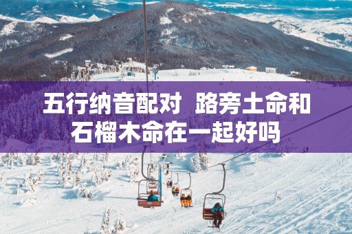 五行纳音配对  路旁土命和石榴木命在一起好吗