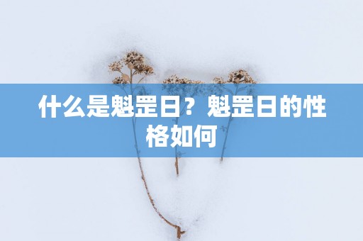 什么是魁罡日？魁罡日的性格如何