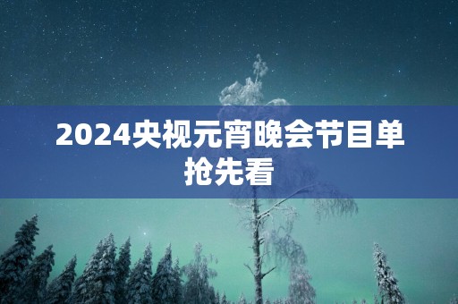 2024央视元宵晚会节目单抢先看