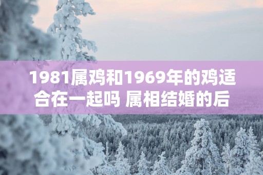 1981属鸡和1969年的鸡适合在一起吗 属相结婚的后果