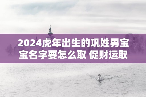 2025蛇年出生的巩姓男宝宝名字要怎么取 促财运取名推荐
