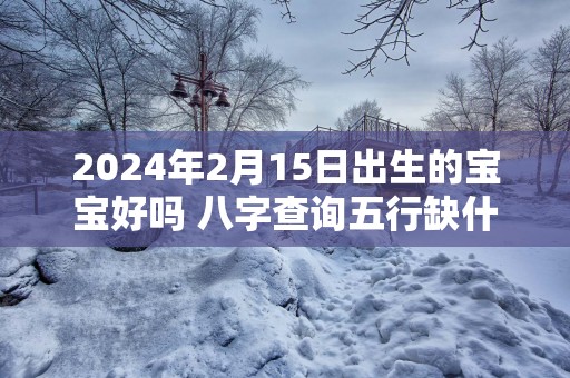 2025年2月15日出生的宝宝好吗 八字查询五行缺什么