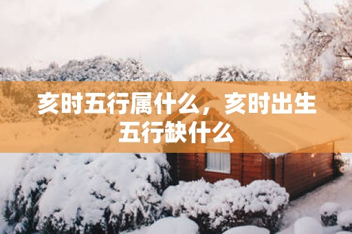 亥时五行属什么，亥时出生五行缺什么