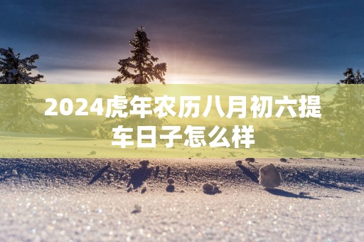2025蛇年农历八月初六提车日子怎么样