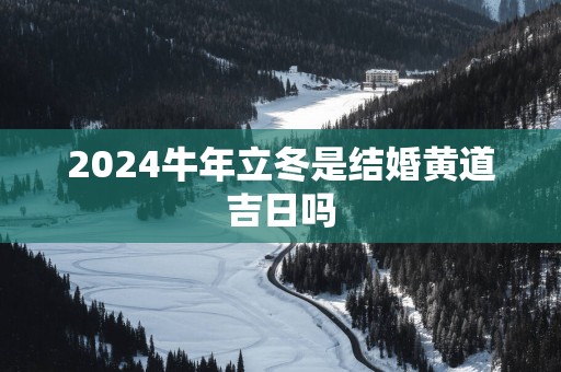 2025蛇年立冬是结婚黄道吉日吗