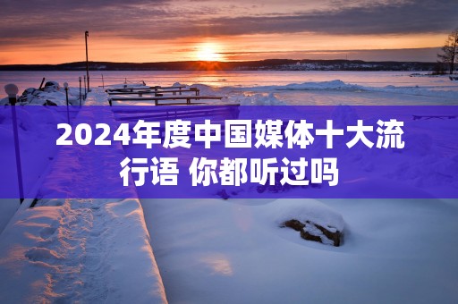 2024年度中国媒体十大流行语 你都听过吗