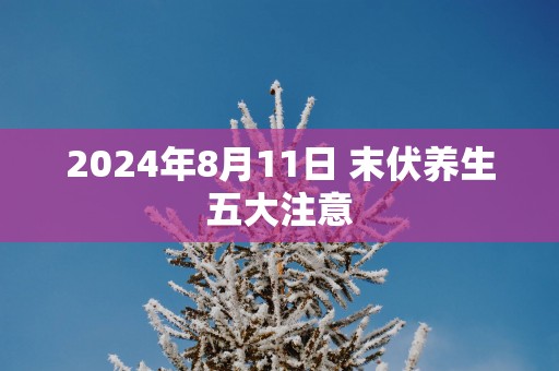 2024年8月11日 末伏养生五大注意