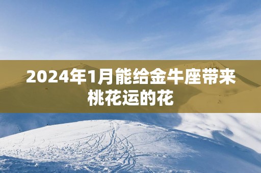 2025年1月能给金牛座带来桃花运的花