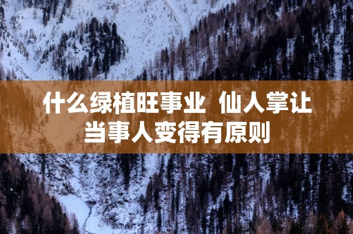什么绿植旺事业  仙人掌让当事人变得有原则