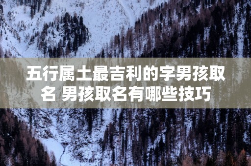 五行属土最吉利的字男孩取名 男孩取名有哪些技巧