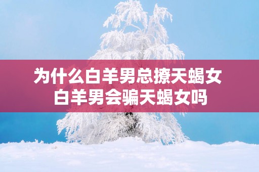 为什么白羊男总撩天蝎女 白羊男会骗天蝎女吗