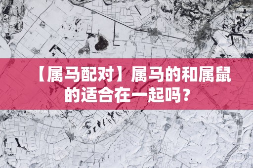 【属马配对】属马的和属鼠的适合在一起吗？