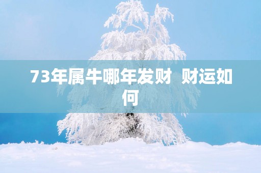 73年属牛哪年发财  财运如何