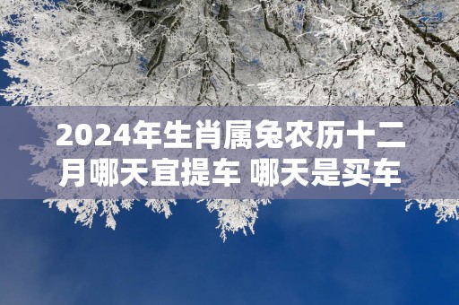 2025年生肖属兔农历十二月哪天宜提车 哪天是买车好日子