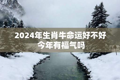 2025年生肖牛命运好不好 今年有福气吗
