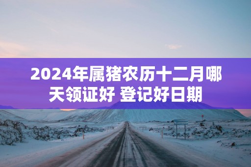 2025年属猪农历十二月哪天领证好 登记好日期