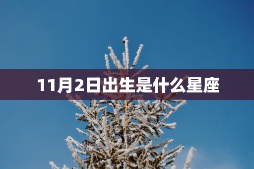 11月2日出生是什么星座