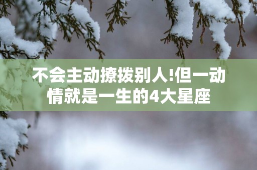 不会主动撩拨别人!但一动情就是一生的4大星座