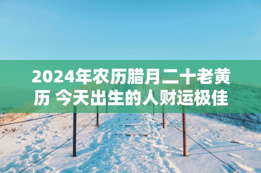 2025年农历腊月二十老黄历 今天出生的人财运极佳