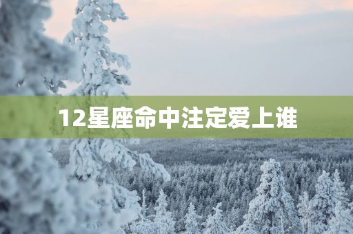 12星座命中注定爱上谁