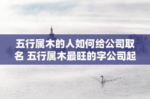 五行属木的人如何给公司取名 五行属木最旺的字公司起名