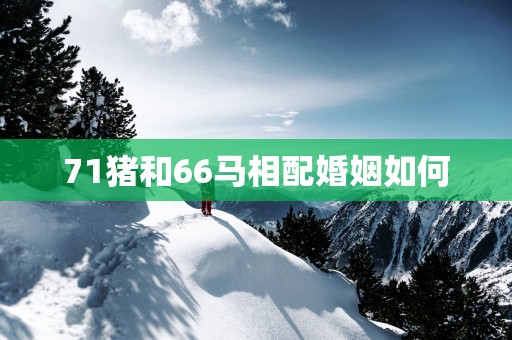 71猪和66马相配婚姻如何