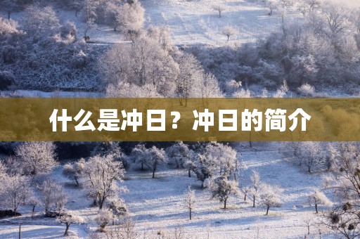 什么是冲日？冲日的简介