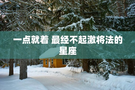一点就着 最经不起激将法的星座