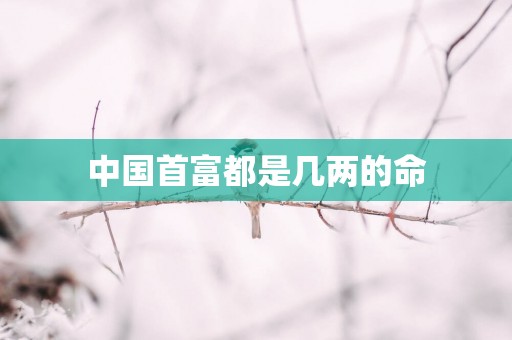 中国首富都是几两的命