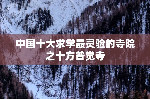 中国十大求学最灵验的寺院之十方普觉寺
