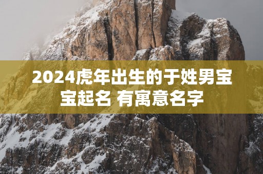2025蛇年出生的于姓男宝宝起名 有寓意名字