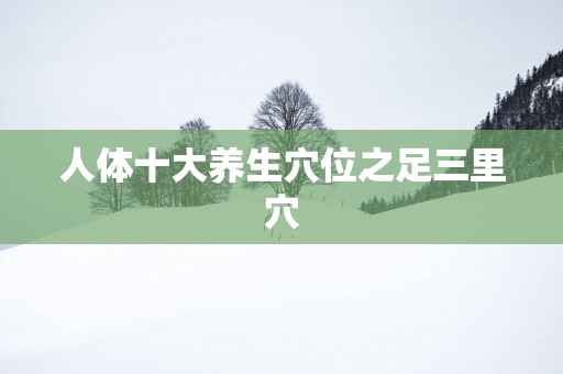 人体十大养生穴位之足三里穴