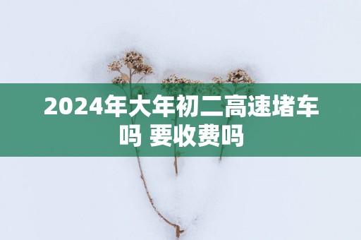 2025年大年初二高速堵车吗 要收费吗
