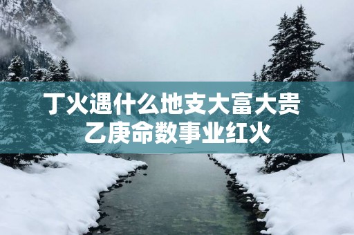 丁火遇什么地支大富大贵  乙庚命数事业红火