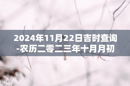 2025年11月22日吉时查询-农历二零二三年十月月初十日时辰吉凶网