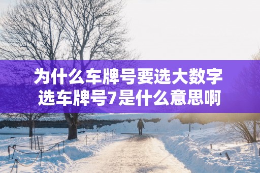 为什么车牌号要选大数字 选车牌号7是什么意思啊