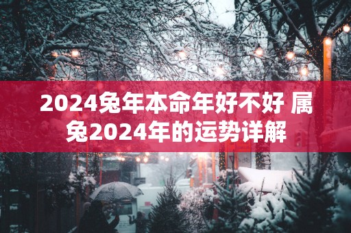 2025蛇年本命年好不好 属兔2025年的运势详解